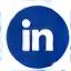 LinkedIn Icon